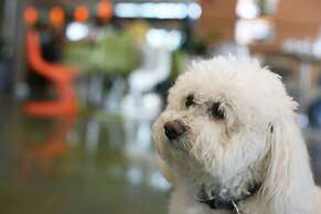 Hotel Indigo Asheville Downtown by IHG