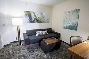 Springhill Suites by Marriott Winston-Salem Hanes Mall