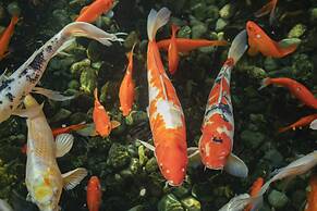 The Parkside Hotel & Spa