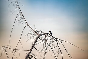 JW Marriott Khao Lak Resort and Spa