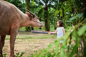 JW Marriott Khao Lak Resort and Spa