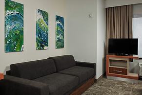 SpringHill Suites by Marriott Baton Rouge North/Airport