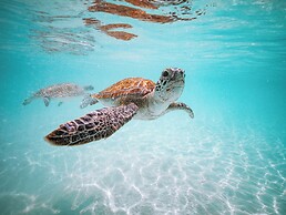 Valentines Resort & Marina