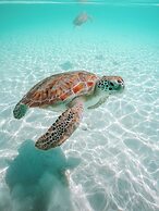 Valentines Resort & Marina