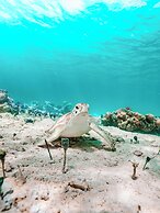 Valentines Resort & Marina