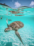 Valentines Resort & Marina