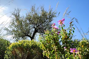 Kallikoros Country Resort & Spa