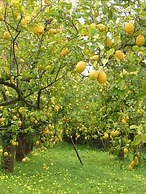 Kallikoros Country Resort & Spa