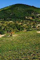 Kallikoros Country Resort & Spa