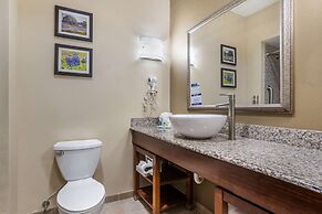 Comfort Suites Old Town Spring