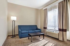 Comfort Suites Old Town Spring