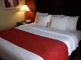 Comfort Suites Old Town Spring