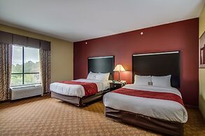 Comfort Suites Old Town Spring