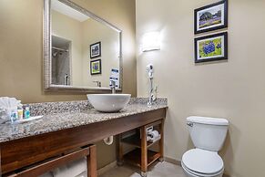 Comfort Suites Old Town Spring