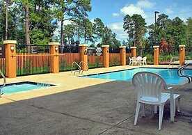 Comfort Suites Old Town Spring