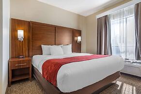 Comfort Suites Old Town Spring