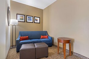 Comfort Suites Old Town Spring