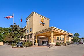 Comfort Suites Old Town Spring