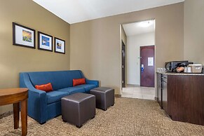 Comfort Suites Old Town Spring