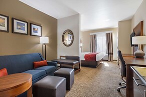 Comfort Suites Old Town Spring