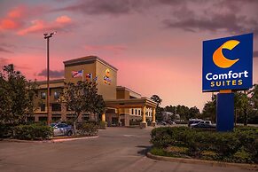 Comfort Suites Old Town Spring