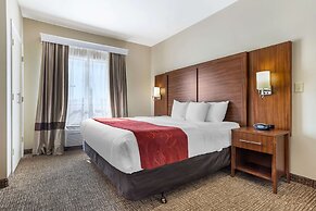 Comfort Suites Old Town Spring