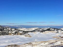 Predator Ridge Resort