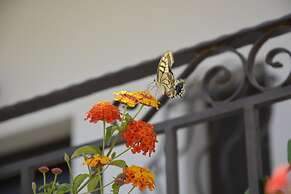 Sitia, GreeceOlive Coast Suites