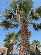 Ladonia Hotels Zemda Gümüşlük