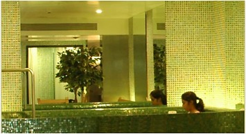 The Imperial Palace Hotel