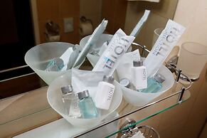 Vega Izmailovo Hotel