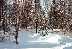 Daniels Lake Lodge B&B