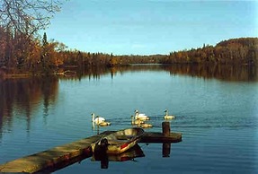 Daniels Lake Lodge B&B