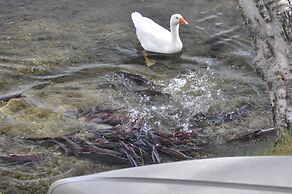 Daniels Lake Lodge B&B