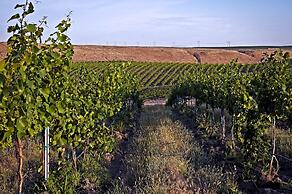 Cameo Heights Mansion