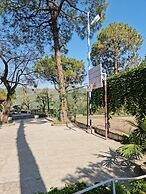 Moksha Himalaya Spa Resort