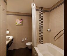 Hilton Garden Inn New Delhi/Saket