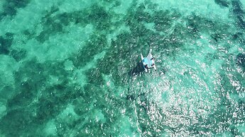 JOIA Paraíso by Iberostar - Adults Only - All Inclusive