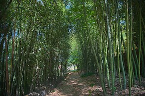 Convento dos Capuchos