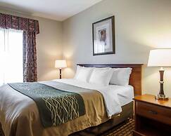 Comfort Inn & Suites Harrisonville