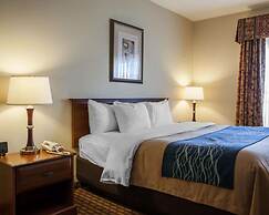 Comfort Inn & Suites Harrisonville