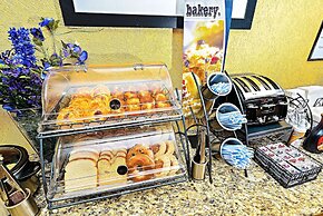 Microtel Inn & Suites by Wyndham New Braunfels