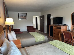 Village Inn