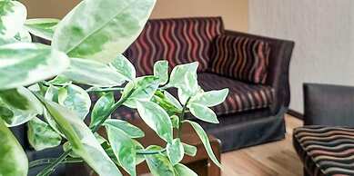 Hotel Terranova Zona Piel