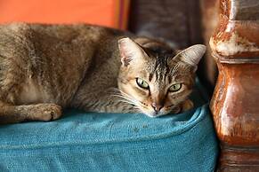 Bon Ton Resort Langkawi