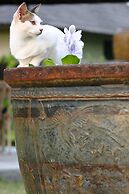 Bon Ton Resort Langkawi