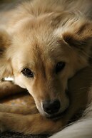 Bon Ton Resort Langkawi