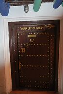 Riad Les Oliviers & Spa