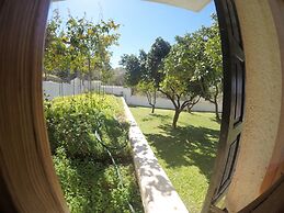 Panormos Beach Hotel Skopelos