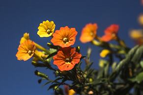 Sol y Luna Relais & Chateaux